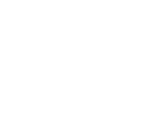 NOAH Logo-02